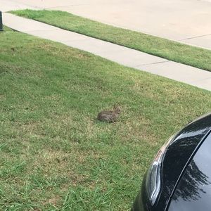 Meet your Posher, Jon